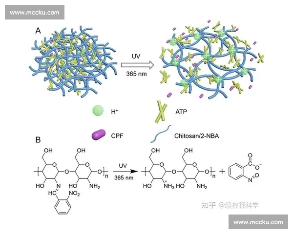 基于多维NBA技术统计的球员表现与胜负机制深度解析演化规律研究