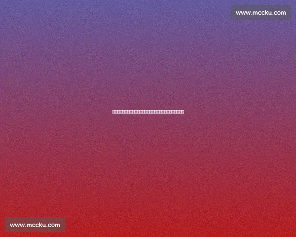 聚焦中国国家队常规训练与赛事动态全景解析发展历程与未来展望